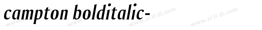 campton bolditalic字体转换